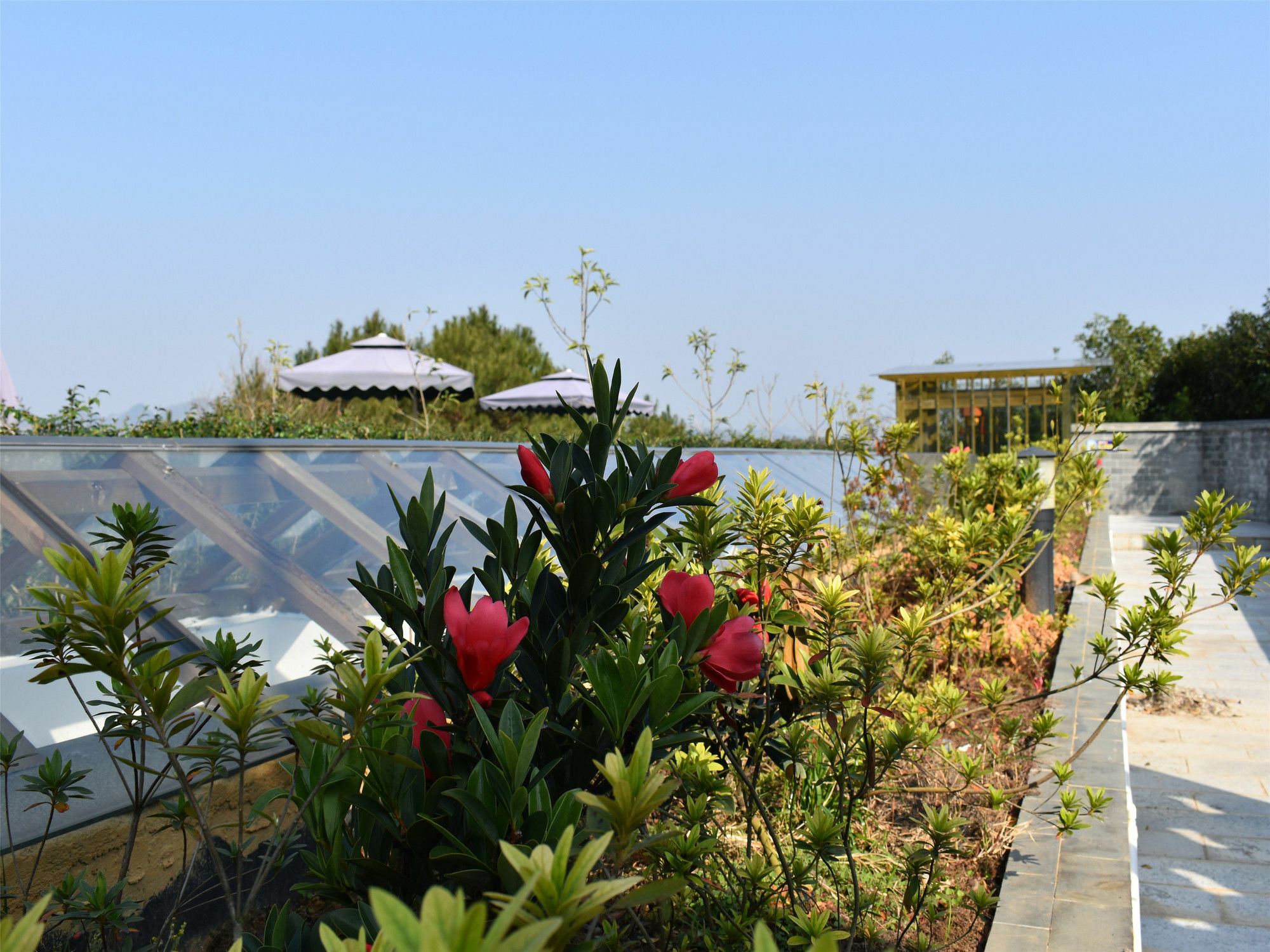 Yangshuo Mountain Top Retreat Exterior foto